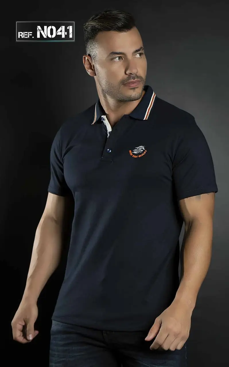 Ref. N041